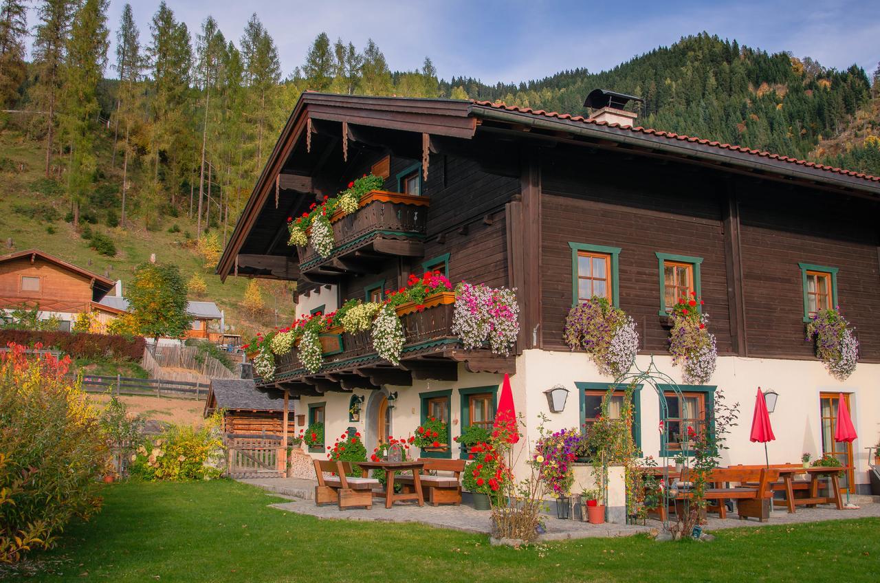 Brotzeitalm Apartment Pfarrwerfen Exterior foto