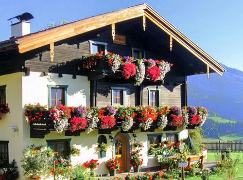 Brotzeitalm Apartment Pfarrwerfen Exterior foto